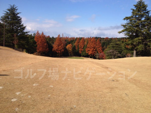 箕面ゴルフ倶楽部_インコース_豪快な打ち下し