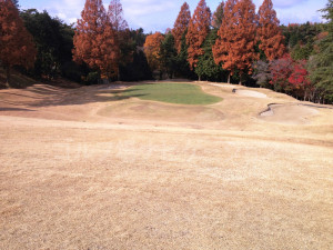 箕面ゴルフ倶楽部_インコース_14-6