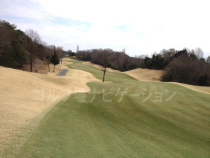 tojo_pine_valley_in_11-4