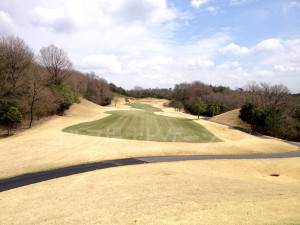 tojo_pine_valley_in_14-3