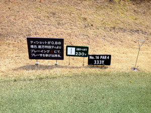 tojo_pine_valley_in_16-1