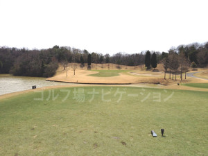 tojo_pine_valley_in_17-2