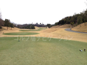 tojo_pine_valley_in_18-2