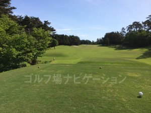 フロントティグランドからの眺め