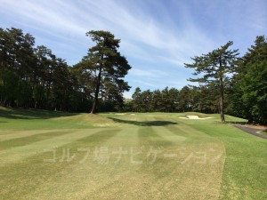 フェアウェイの赤松が風流。