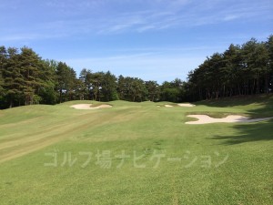 右手前がサブグリーン、左奥がメイングリーン