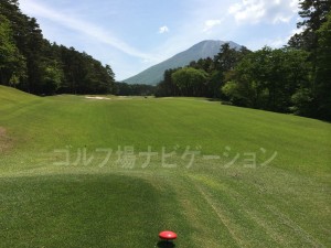 レディスの競技用かな？