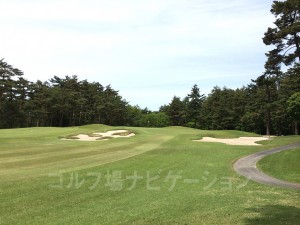 左がサブグリーン、右がメイングリーン