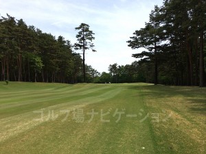 daisen_gc_7-8