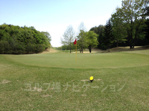 黄色が特設ティ