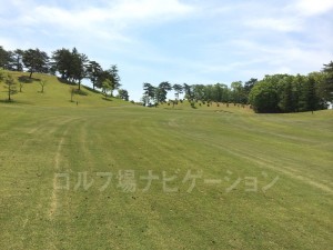 セカンドショットは打ち上げ。