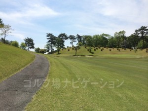 左が椿ルート、右が山吹ルートのグリーン width=