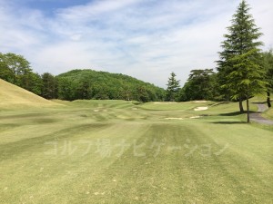 右が椿ルート、左が山吹ルートのグリーン