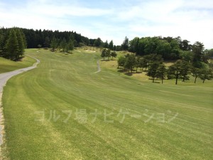 ティショットは打ち下しなので距離が稼げます。