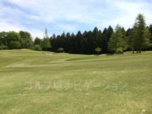 椿ルートと山吹ルートのグリーンはかなり離れています。