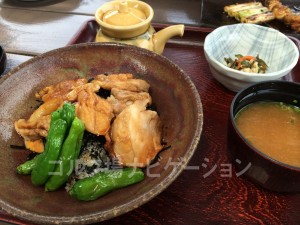 キジ丼。初めて食べたけど、癖もなく美味しかったです。