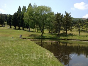 小さな池越えなのでプレッシャーはそれ程ない。鹿が水を飲みにやってきます。