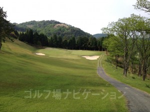 右がOLDグリーンで左がNEWグリーン