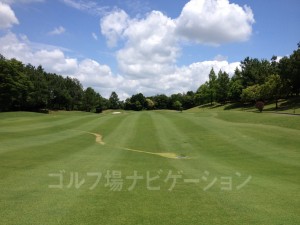 ロングヒッターは２オン狙いが可能