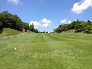 特設ティからの眺め。かなりの打ち上げ。