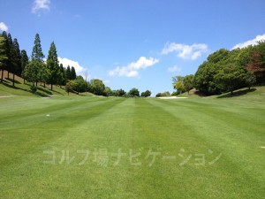 距離感に注意。ランは期待できません。