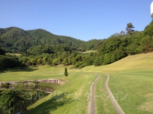 左の池が食い込んできているので注意。