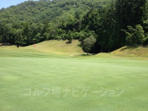 ややアンジュレーションがあるグリーン