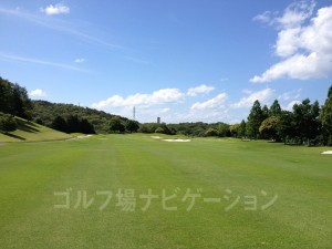 フラットなので距離どおりのショットを。