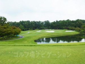 池越え、やや打ち下し