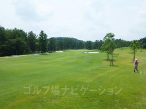 ラフは夏場ということもあり、かなり深い