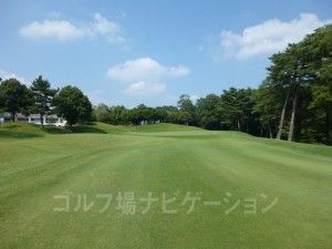 グリーンの周りに池がないホール