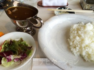 カレーです。美味しかったです。