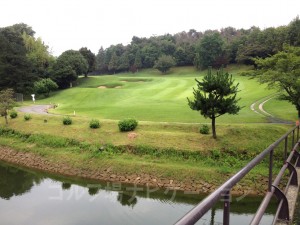 池越えギリギリならセカンドはかなりの打ち上げになります。