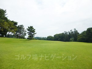 奥に見える観覧車は近くの遊園地「御崎公園」