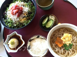 名物料理「鮪と釜揚げしらすの丼ぶり」を食してみました。が、普通でした^^;