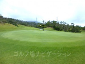 広いコーライグリーンは個人的に苦手です^^;