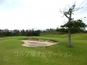 こちらも台風で砂が流れちゃってました。