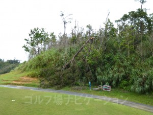 落雷？台風？