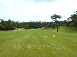 吹き流しからの眺め