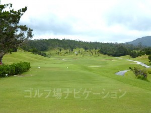 フラットで広々。ドライバーで豪快なショットを！