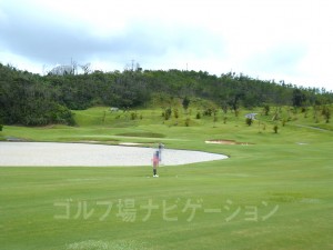 池はかなり大きい