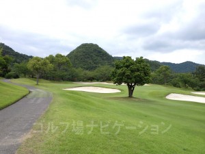 ヤマモモの木が邪魔しているのでティショットの落とし所に注意