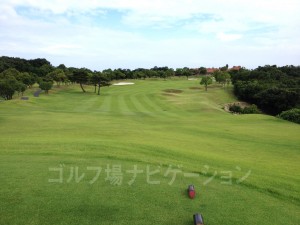 レディースティからの眺め。打ち上げになります。