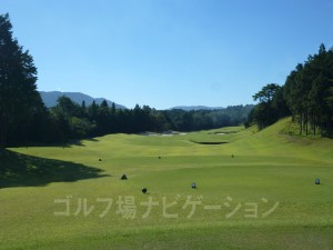 ティショットは右前方の池越え狙い