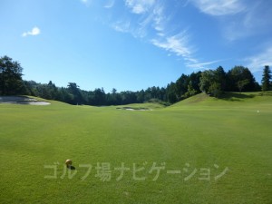 ティショットで池に落としたらここから打てます。