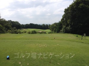 レッド3番ホール、レギュラーティからの眺め。やや距離がある谷越えショートホール。