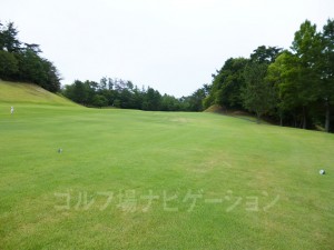 特設ティからの眺め。気持ち打ち上げ。