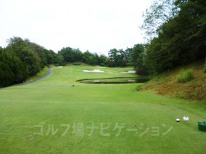 フロントティからの眺め。池越えでやや打ち上げ。