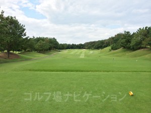 レギュラーティからの眺め