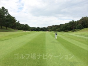 上り傾斜がグリーンまで続きます。